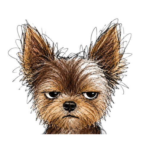 Scruffy Pet Supply Co.